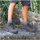 Zapatos Hombre Botas Bestard Botas de montaña y trekking Hombre  Cares Gore-Tex Gris Gris