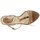 Zapatos Mujer Sandalias Etro 3443 Marrón