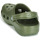 Zapatos Zuecos (Clogs) Crocs CLASSIC Kaki