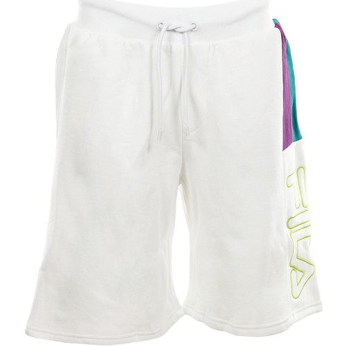 textil Hombre Shorts / Bermudas Fila Ajay Short 