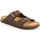 Zapatos Hombre Zuecos (Mules) Grunland DSG-CB1631 Marrón