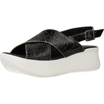 Zapatos Mujer Sandalias Clover 15719C Negro