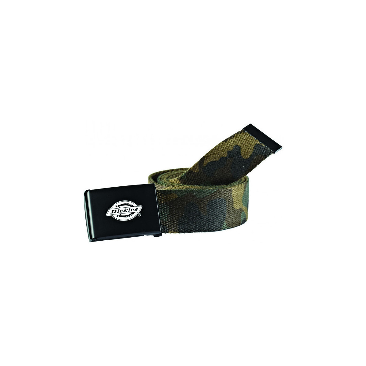 Accesorios textil Hombre Cinturones Dickies Orcutt  webbing belt Verde