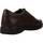 Zapatos Hombre Derbie & Richelieu Stonefly SEASON III 2 Marrón