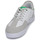 Zapatos Hombre Zapatillas bajas DC Shoes VESTREY Blanco / Verde