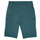 textil Niño Shorts / Bermudas Ikks MANUEL Azul / Verde