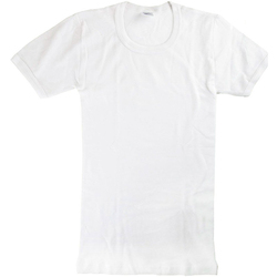 textil Niño Camisetas manga corta Abanderado 0302-BLANCO Blanco