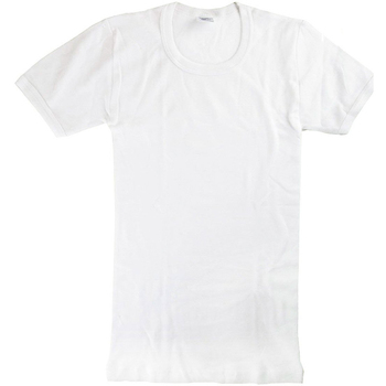 textil Niño Camisetas manga corta Abanderado 0302-BLANCO Blanco