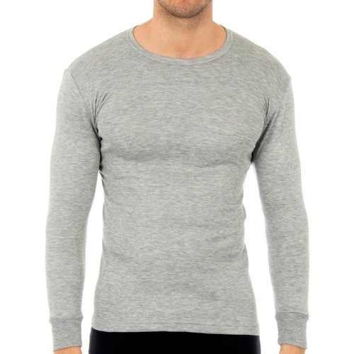 textil Hombre Camisetas manga larga Abanderado 0808-GRIS Gris