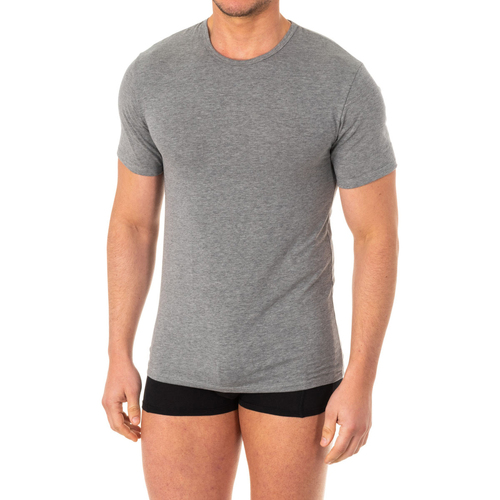 textil Hombre Camisetas manga corta Abanderado A040W-GRIS-VIGORE Gris