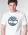 textil Hombre Camisetas manga corta Timberland SS KENNEBEC RIVER BRAND TREE TEE Blanco