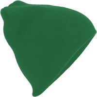Accesorios textil Gorro Beechfield Basic Verde