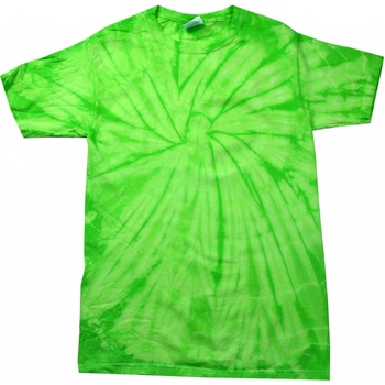 textil Niños Camisetas manga corta Colortone Spider Verde