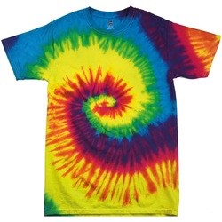 textil Niños Tops y Camisetas Colortone TD02B Multicolor