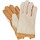 Accesorios textil Mujer Guantes Eastern Counties Leather EL289 Beige