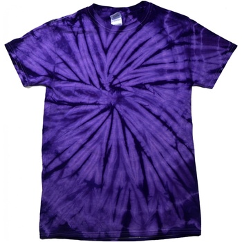textil Niños Camisetas manga corta Colortone Spider Violeta