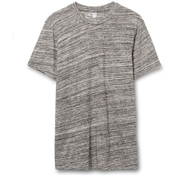textil Hombre Camisetas manga larga Alternative Apparel AT001 Gris
