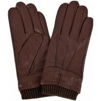 Accesorios textil Hombre Guantes Eastern Counties Leather  Multicolor