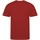 textil Hombre Camisetas manga larga Awdis Just Cool Performance Rojo