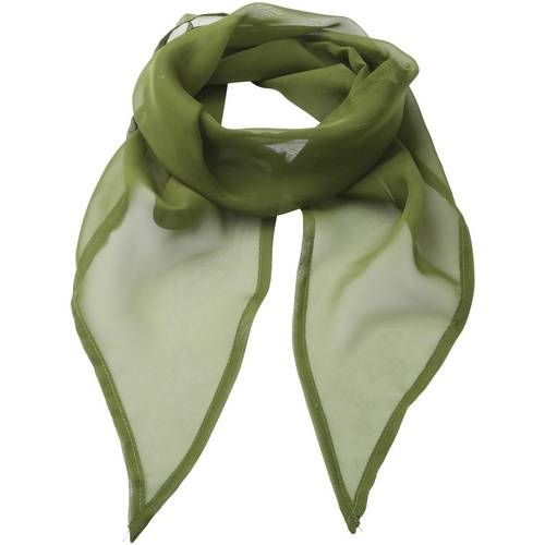 Accesorios textil Mujer Bufanda Premier PR740 Verde
