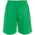textil Hombre Shorts / Bermudas Sols San Siro Verde