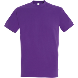 textil Hombre Camisetas manga corta Sols Imperial Violeta