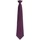 textil Hombre Corbatas y accesorios Premier PR785 Violeta