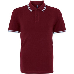 textil Hombre Tops y Camisetas Asquith & Fox AQ011 Multicolor