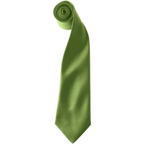 textil Hombre Corbatas y accesorios Premier RW6940 Verde