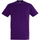 textil Hombre Camisetas manga corta Sols Regent Violeta