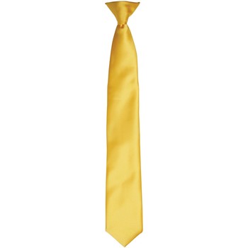 textil Hombre Corbatas y accesorios Premier PR755 Multicolor