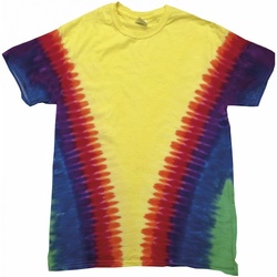 textil Niños Tops y Camisetas Colortone TD05B Multicolor