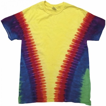 textil Niños Camisetas manga corta Colortone TD05B Multicolor