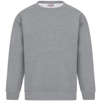 textil Hombre Sudaderas Absolute Apparel Sterling Gris