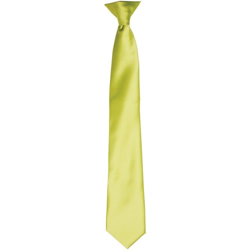textil Hombre Corbatas y accesorios Premier PR755 Verde