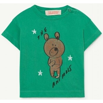 textil Niños Tops y Camisetas The Animals Observatory S22118 Verde