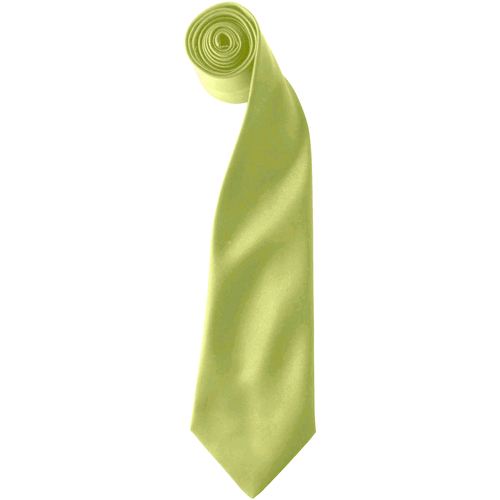 textil Hombre Corbatas y accesorios Premier RW6940 Verde