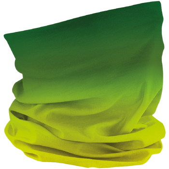 Accesorios textil Sombrero Beechfield B905 Verde