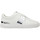 Zapatos Hombre Deportivas Moda Ed Hardy Stripe low top-metallic white/silver Blanco