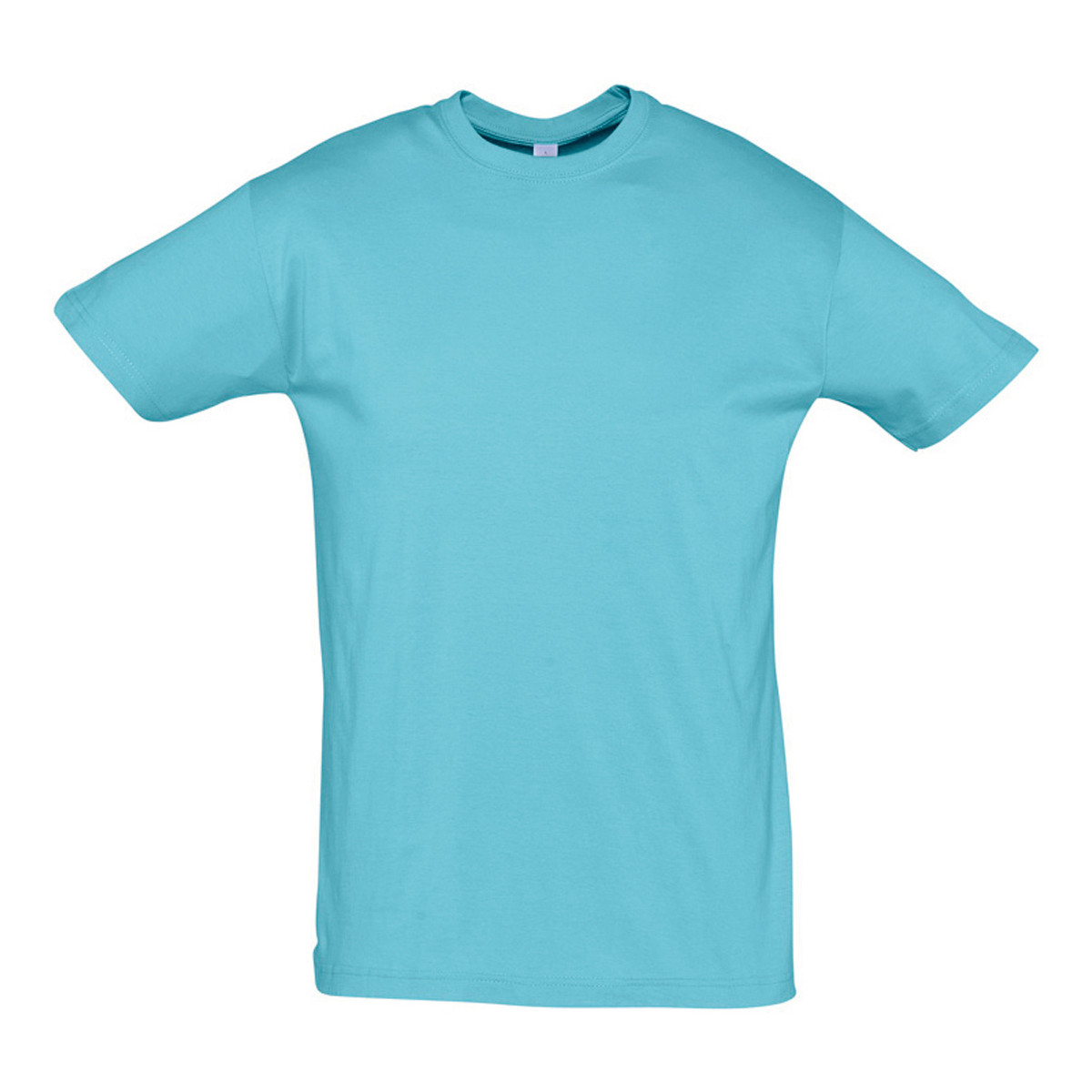 textil Camisetas manga corta Sols REGENT COLORS MEN Azul