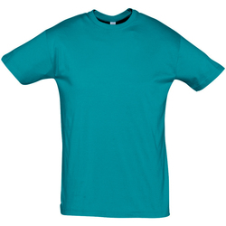 textil Camisetas manga corta Sols REGENT COLORS MEN Azul
