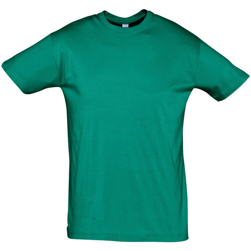 textil Camisetas manga corta Sols REGENT COLORS MEN Verde