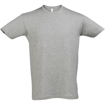 textil Camisetas manga corta Sols REGENT COLORS MEN Gris