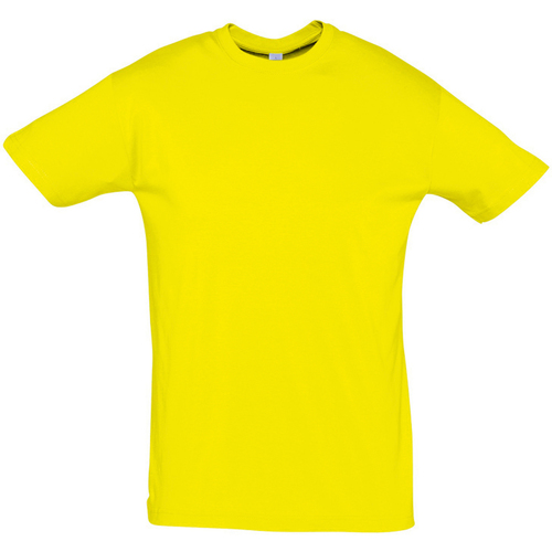 textil Camisetas manga corta Sols REGENT COLORS MEN Amarillo