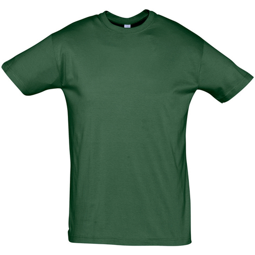 textil Camisetas manga corta Sols REGENT COLORS MEN Verde