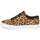 Zapatos Mujer Zapatillas bajas Timberland SKYLA BAY LEATHER OXFORD Leopardo