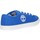 Zapatos Niño Deportivas Moda Timberland A1TMS NEWPORT Azul