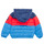 textil Niño Plumas Levi's COLOR BLOCK PUFFER  Multicolor
