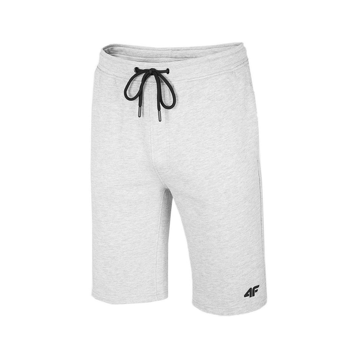 textil Hombre Pantalones cortos 4F SKMD001 Gris