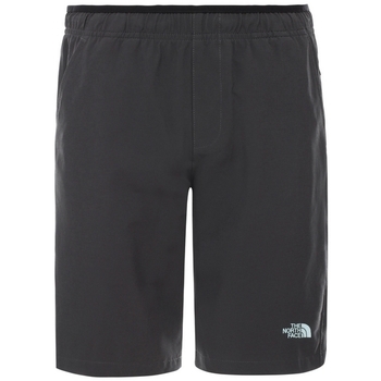 textil Niños Shorts / Bermudas The North Face NF0A3Y940C51 Gris